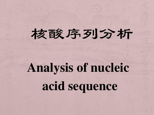 核酸序列分析