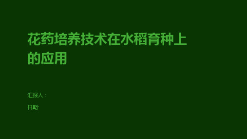 花药培养技术在水稻育种上的应用