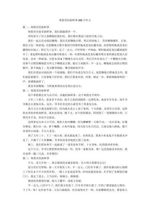 寒假里的新鲜事300字优秀作文作文