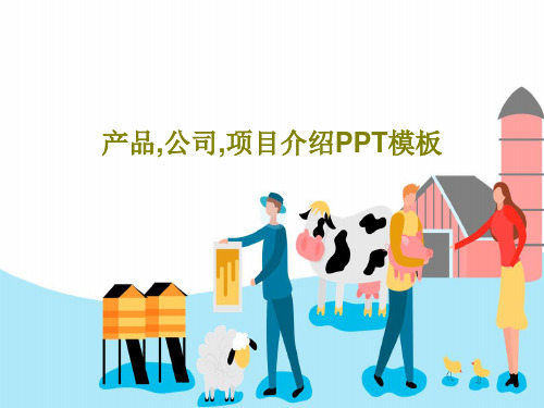 产品,公司,项目介绍PPT模板共24页文档