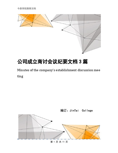 公司成立商讨会议纪要文档3篇