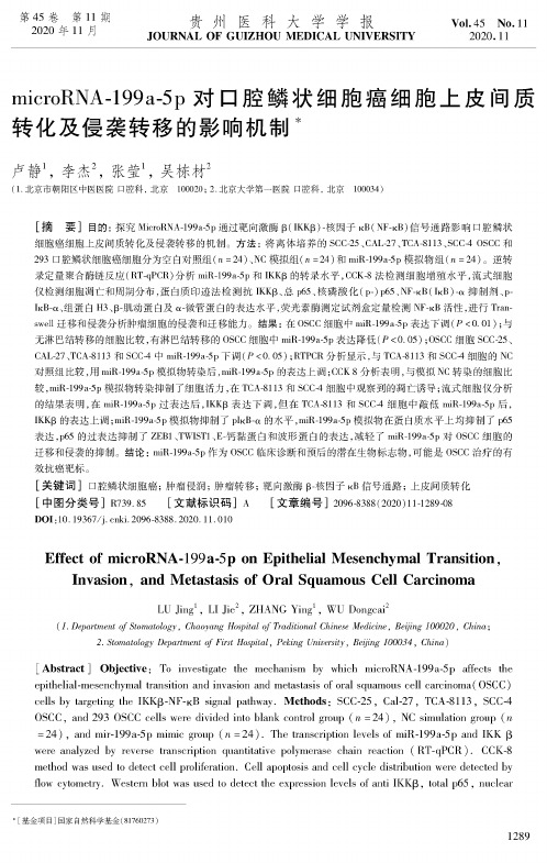 microRNA-199a-5p对口腔鳞状细胞癌细胞上皮间质转化及侵袭转移的影响机制