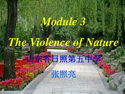 教育部参赛_高中英语外研版必修三模块三The Violence of Nature Reading 教学设计课件_张照亮