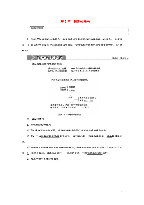 2019_2020学年新教材高中生物第3章基因的本质第2节DNA的结构学案新人教版必修第二册