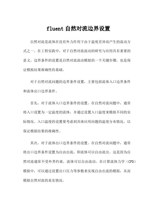 fluent自然对流边界设置