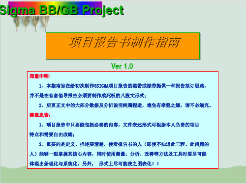 六西格玛项目报告书制作指南PPT课件( 33页)