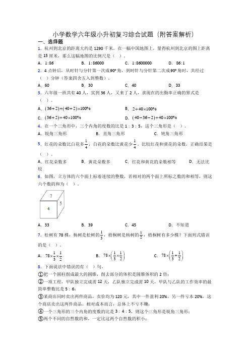 小学数学六年级小升初复习综合试题(附答案解析)