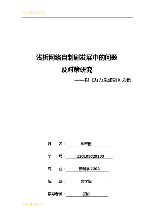 浅议网络自制剧发展中的问题及对策研究