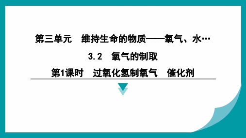 3.2氧气的制取第1课时过氧化氢制氧气 催化剂-2024-2025学年九年级化学科粤版上册