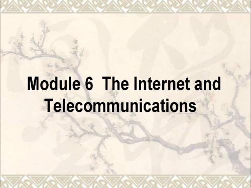 高考英语一轮复习构想Module6TheInternetandTelecommunications课件外研版必修1