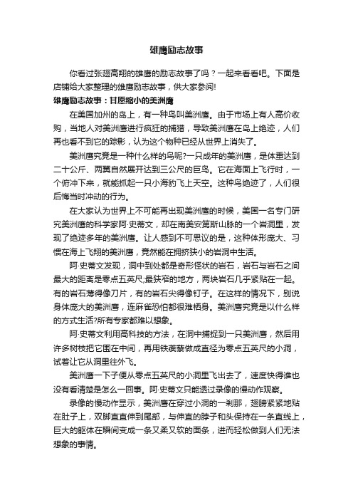 雄鹰励志故事