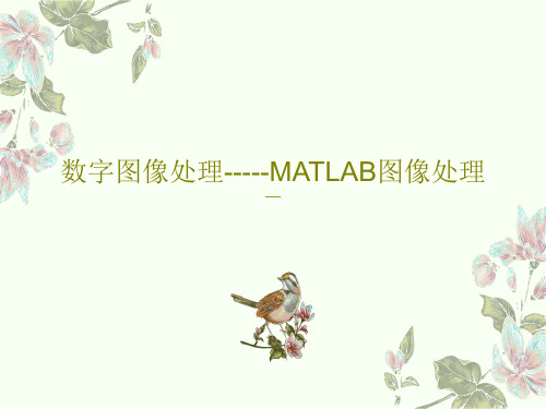 数字图像处理-----MATLAB图像处理共43页PPT