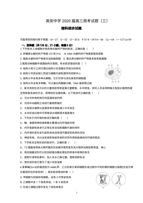 江西省高安中学2020届高三下学期周考生物试题 PDF版含答案