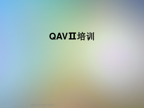 QAVⅡ培训