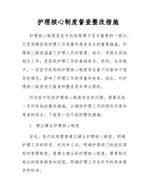 护理核心制度督查整改措施