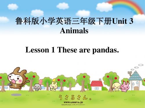 鲁科版小学英语三年级下册《Unit 3 Animals Lesson 1 These are pandas》课件