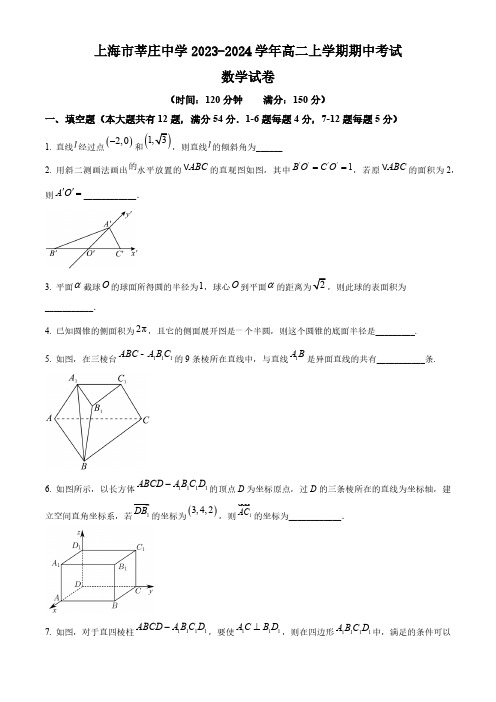 上海市莘庄中学2023-2024学年高二上学期期中考试数学试卷(含简单答案)