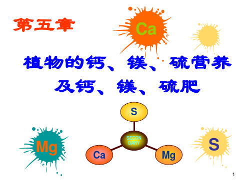 第五章 植物钙镁硫营养与肥料