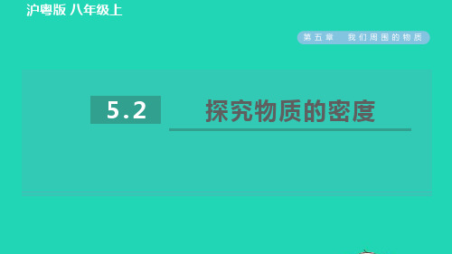 八年级物理上册第5章我们周围的物质5、2探究物质的密度习题课件新版粤教沪版