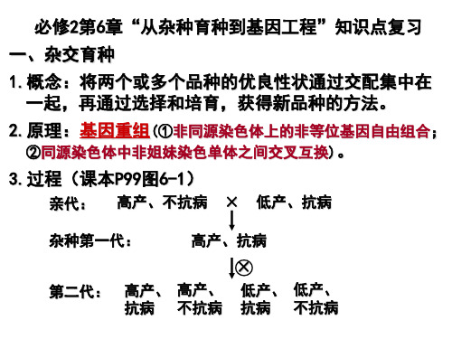 从杂种育种到基因工程”知识点复习