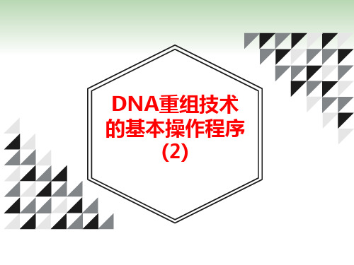 人教版生物选修三1.2节DNA重组技术的基本操作程序(2)基因表达载体的构建课件(共18张PPT)(