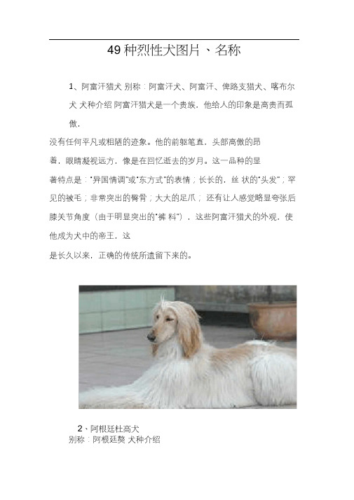 49种烈性犬图片名称