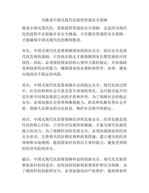 为推进中国式现代化提供坚强安全保障