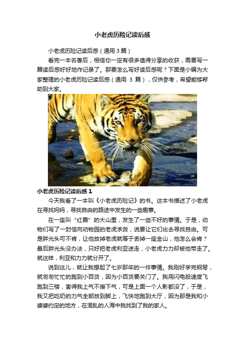 小老虎历险记读后感