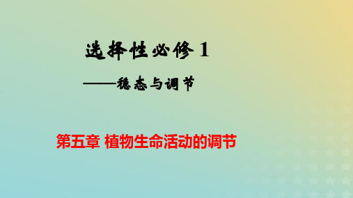 新教材高中生物环境因素参与调节植物的生命活动pptx课件新人教版选择性必修1