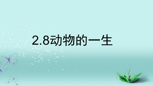 教科版 科学三年级下册 2-8动物的一生课件