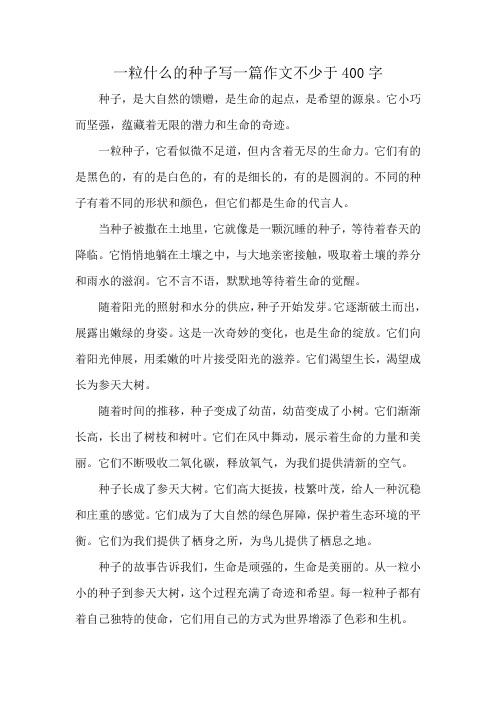 一粒什么的种子写一篇作文不少于400字