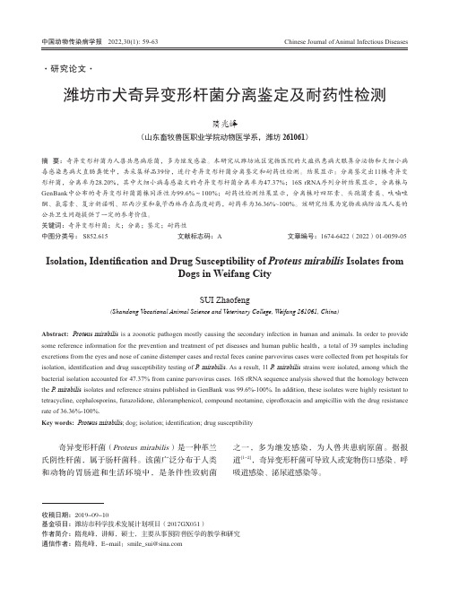 潍坊市犬奇异变形杆菌分离鉴定及耐药性检测