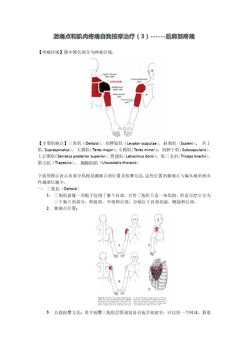 激痛点和肌肉疼痛自我按摩治疗(3)后肩部疼痛