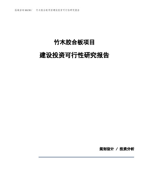 竹木胶合板项目建设投资可行性研究报告范文参考