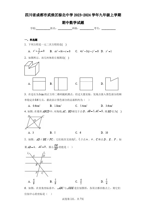 四川省成都市武侯区棕北中学2023-2024学年九年级上学期期中数学试题