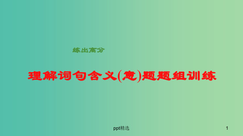 高考语文大一轮总复习 散文阅读 理解词句含义(意)题题组训练课件 新人教版