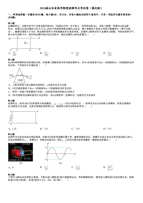 2024届山东省高考物理高频考点考向卷(强化版)