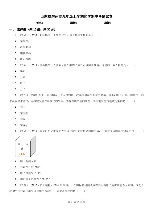 山东省滨州市九年级上学期化学期中考试试卷 