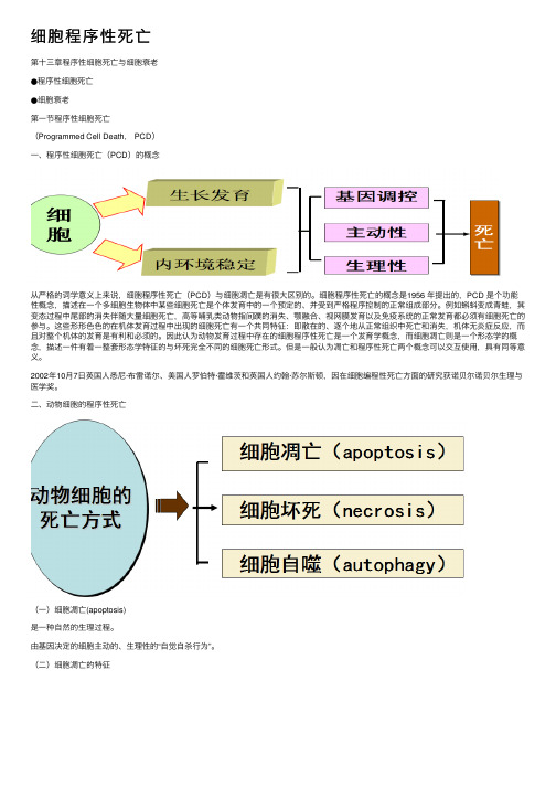 细胞程序性死亡