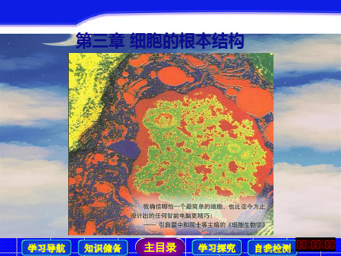 3.1 细胞膜--系统的边界 课件 人教版必修1
