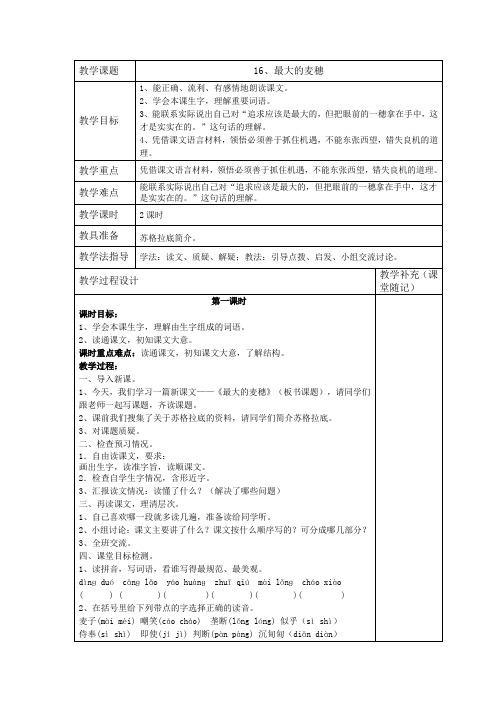 苏教版六年级下语文第五单元第十六课最大的麦穗精品教案