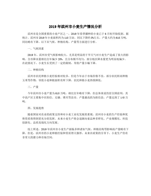 2019年滨州市小麦生产情况分析