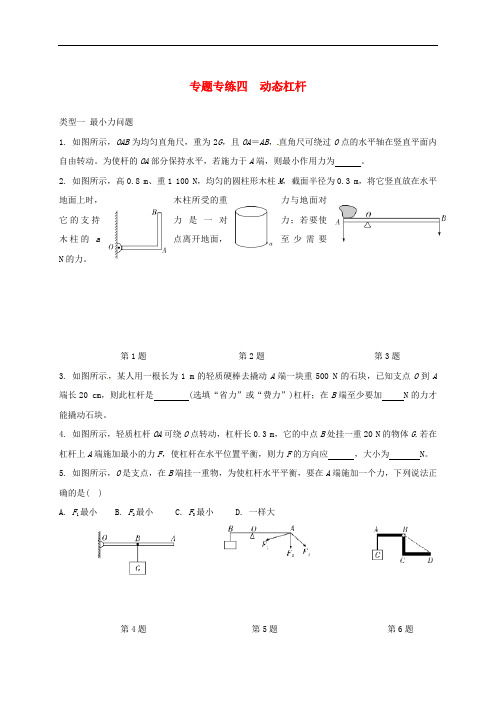 中考物理一轮复习专题专练四动态杠杆