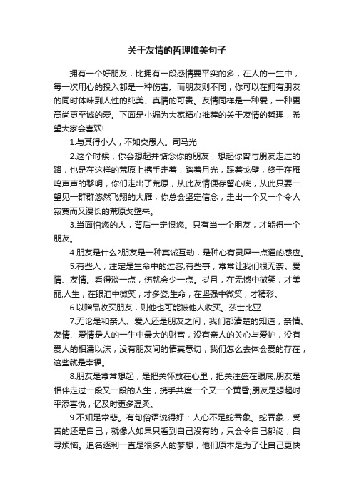 关于友情的哲理唯美句子