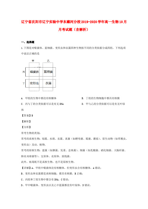 辽宁省沈阳市辽宁实验中学东戴河分校2019_2020学年高一生物10月月考试题(含解析)