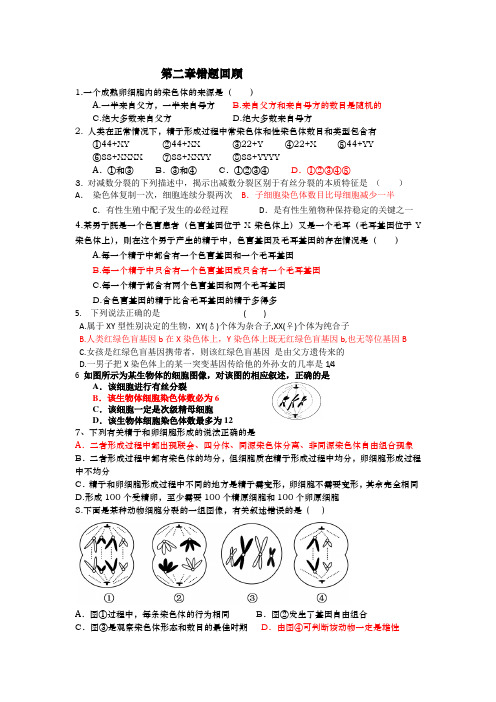 高中生物必修二第二章错题回顾