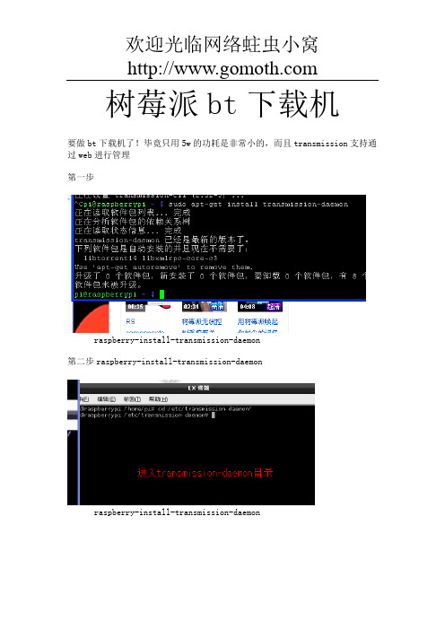 树莓派bt下载机