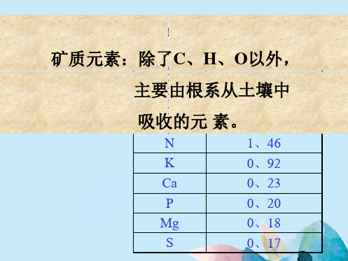 玉米体内主要元素含量表(共14张精选PPT)