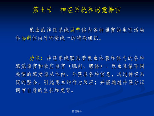 昆虫学第四章 昆虫的神经系统和感觉器官