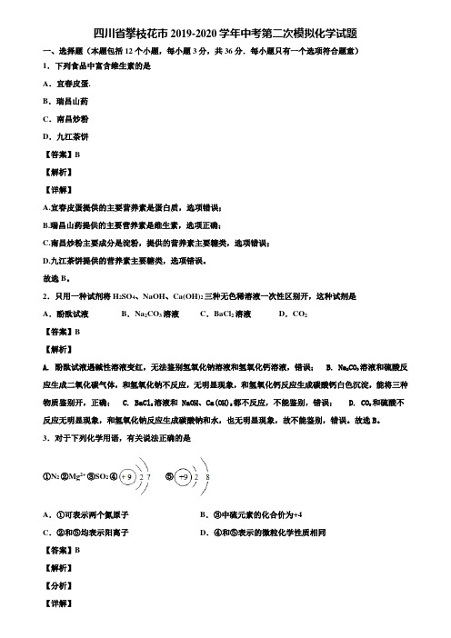 四川省攀枝花市2019-2020学年中考第二次模拟化学试题含解析